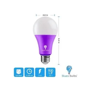 BlueX Paquete de 2 bombillas LED moradas A21 15 W_2