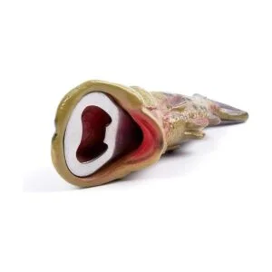 HYYF Abrebotellas de pescado abrebotellas de cerveza