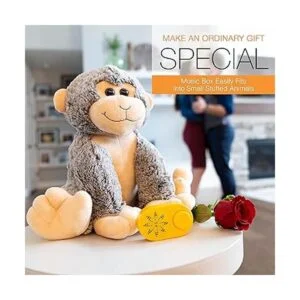 Friendly Songs Módulo de sonido caja de voz de 2 horas_3