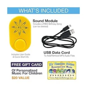 Friendly Songs Módulo de sonido caja de voz de 2 horas_6