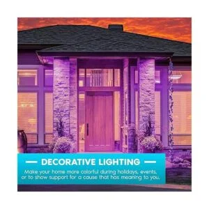 Luxrite Bombillas LED moradas A19 equivalente a 60 W no_2