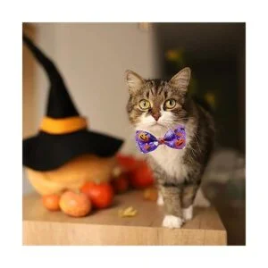 Pohshido Paquete de 2 collares de gato de Halloween con