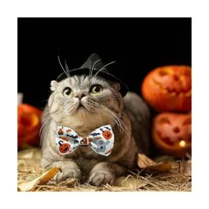Pohshido Paquete de 2 collares de gato de Halloween con