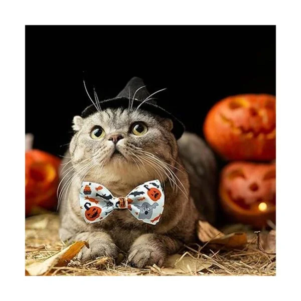 Pohshido Paquete de 2 collares de gato de Halloween con