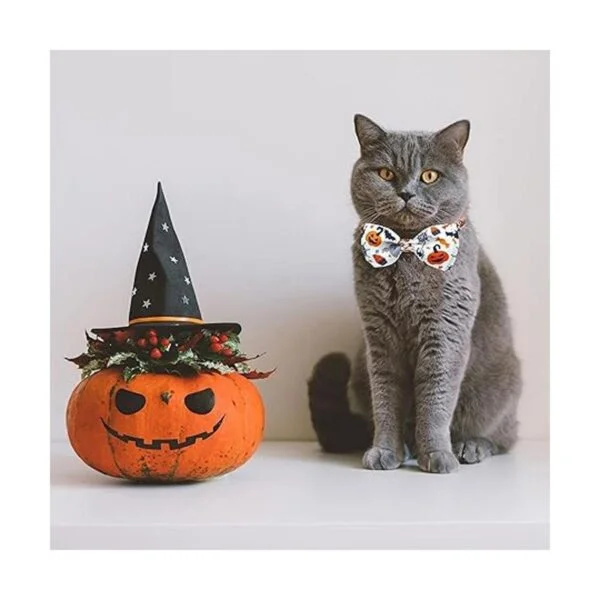 Pohshido Paquete de 2 collares de gato de Halloween con