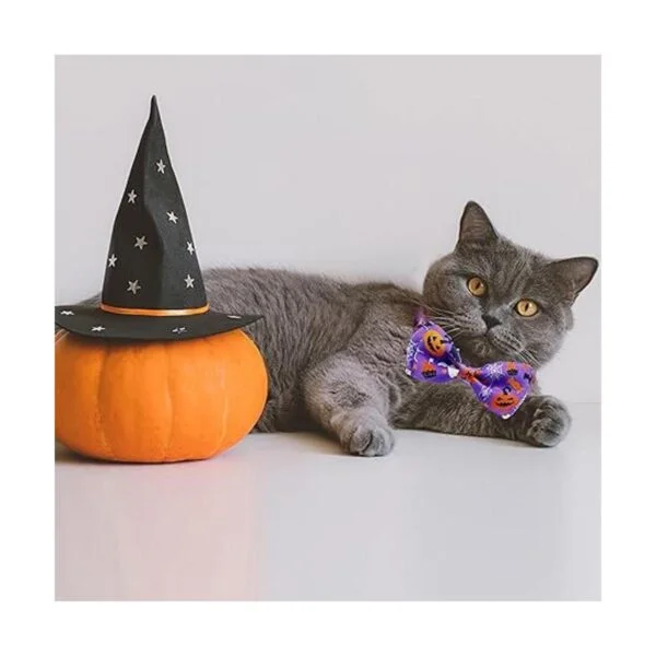 Pohshido Paquete de 2 collares de gato de Halloween con