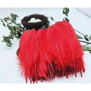 100 plumas de ganso natural teñidas en rojo de 6 a 8