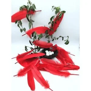 100 plumas de ganso natural teñidas en rojo de 6 a 8