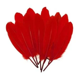 100 plumas de ganso natural teñidas en rojo de 6 a 8