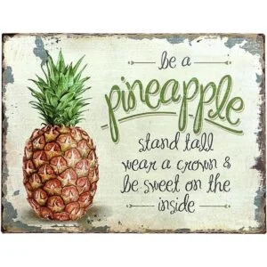 Barnyard Designs Be A Pineapple Cartel de barra de lata