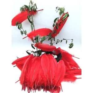 100 plumas de ganso natural teñidas en rojo de 6 a 8