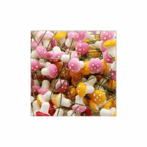 CJESLNA 60 piezas miniatura de jardín de hadas coloridas_1