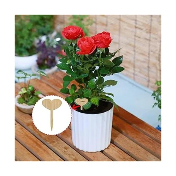 ONLYKXY Etiquetas para plantas 10 unidades de bambú_4