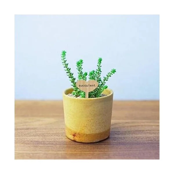 ONLYKXY Etiquetas para plantas 10 unidades de bambú_5