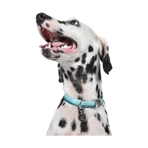 Now House for Pets by Jonathan Adler Jonathan Adler Now