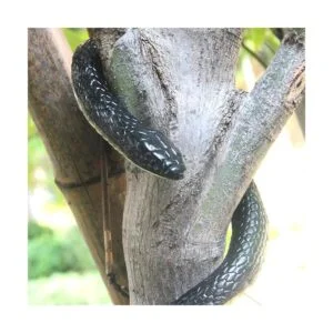 NAKIMO Juguete realista de goma falsa serpiente de 50