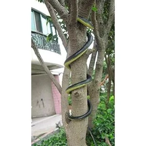 Brandonsuper Serpiente Mamba realista de goma negro 52_5