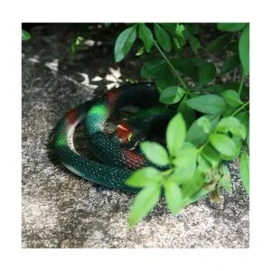 LRCXL 4 piezas de serpientes de goma realistas serpiente_5