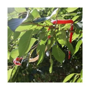 LRCXL 4 piezas de serpientes de goma realistas serpiente_4