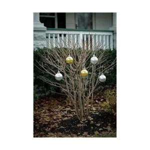 Xodus Innovations WP560 Lámpara decorativa para colgar_2