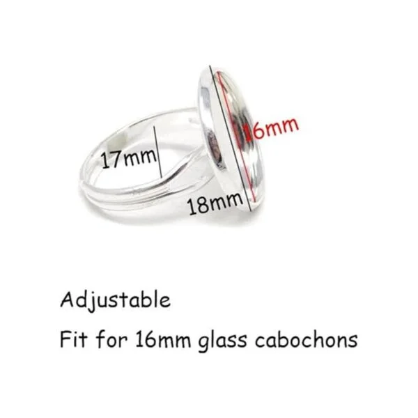 Honbay Juego de 20 bandejas para anillos de dedo