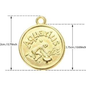 Tupalizy 24 dijes de signo del zodiaco a granel para_2