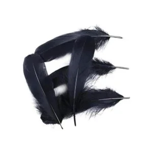 FEARAFTS 100 plumas de ganso natural para manualidades_2