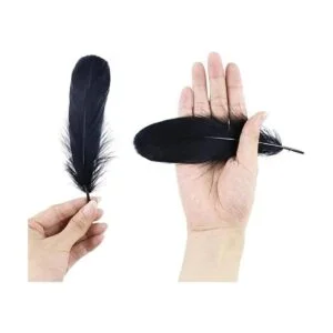 FEARAFTS 100 plumas de ganso natural para manualidades_3