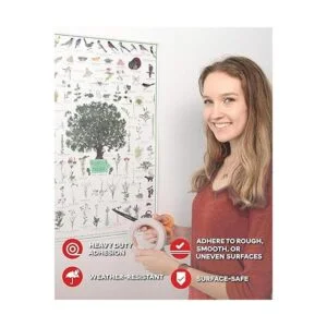 xfasten cinta adhesiva de doble cara extraíbles 1Inch by_4