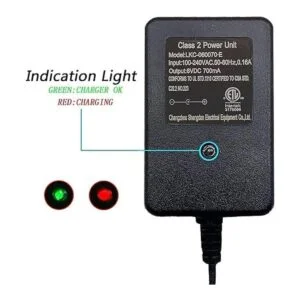 weelye Cargador universal para niños de 6 V CC 700 mA con_2
