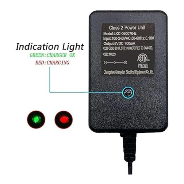 weelye Cargador universal para niños de 6 V CC 700 mA con_2