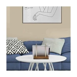 simesove Soporte de discos de vinilo de mesa soporte de