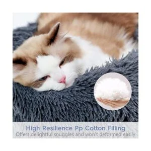 rabbitgoo Cama de gato para gatos de interior mullida y_5