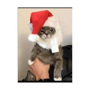 prymal Santa Dog Cat Costume. Este Pet Costume convierte_6