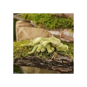 parte superior colección miniatura Jardín de hadas y_2