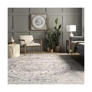 nuLOOM Brielle Alfombra vintage lavable a máquina 4 x 6_4