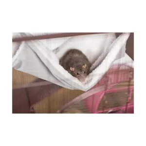 prevue Pet Productos Hamaca de repuesto para Cat Jaulas