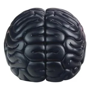 mildahjoy Sujetalibros para cerebro 6.5 pulgadas de alto_1