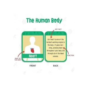 merka Juego de explorador de tarjetas flash sistema_4