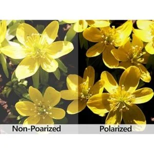 littlebird4 polarizadas anteojos de sol lentes de repuesto