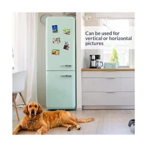 labphant Paquete de 10 marcos magnéticos de 4 x 6