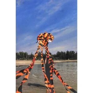 kizh Cometas de parafoil suave sin marco para niños y_6