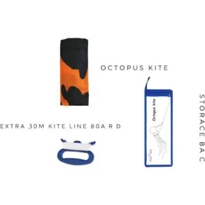 kizh Cometas de parafoil suave sin marco para niños y_3