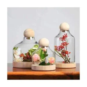 kuosbiu 100 bolas de madera sin acabar diseño en 6