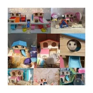 kathson Pet Small Animal Hideout Hamster House with Funny_6