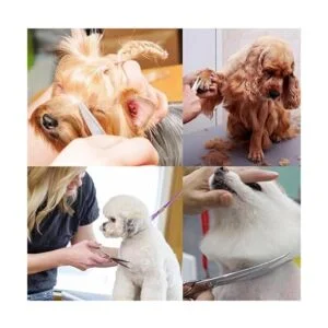 iSeaFly Kit de aseo para perros punta redonda de