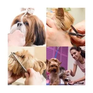 iSeaFly Kit de aseo para perros punta redonda de