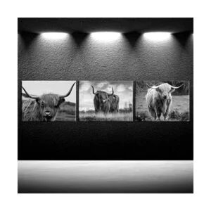 iKNOW FOTO Lienzo impreso para pared pintura en blanco y_2