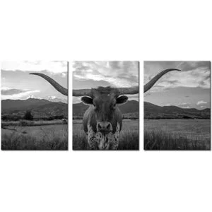 iKNOW FOTO Impresiones artísticas de animales de granja_6