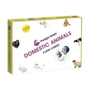 hungry brain Tarjetas de aprendizaje temprano para niños_1